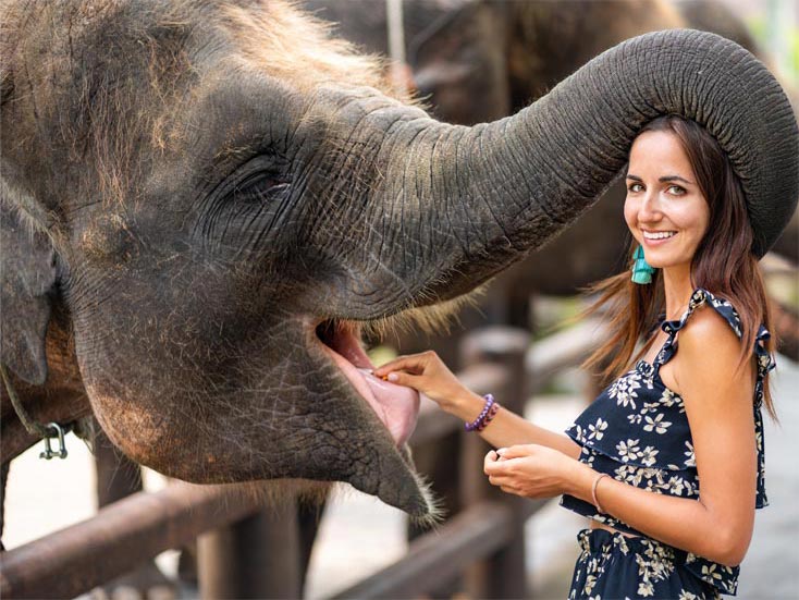 米古拉耶夫动物园 米古拉耶夫动物园